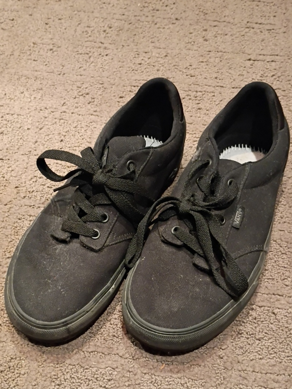 Vans Black Low-Top Canvas Sneakers